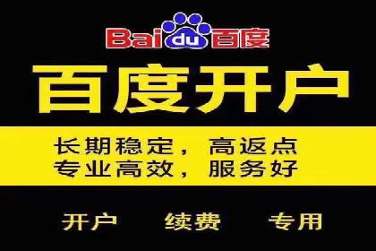 竞价推广实战：经典案例深度解析